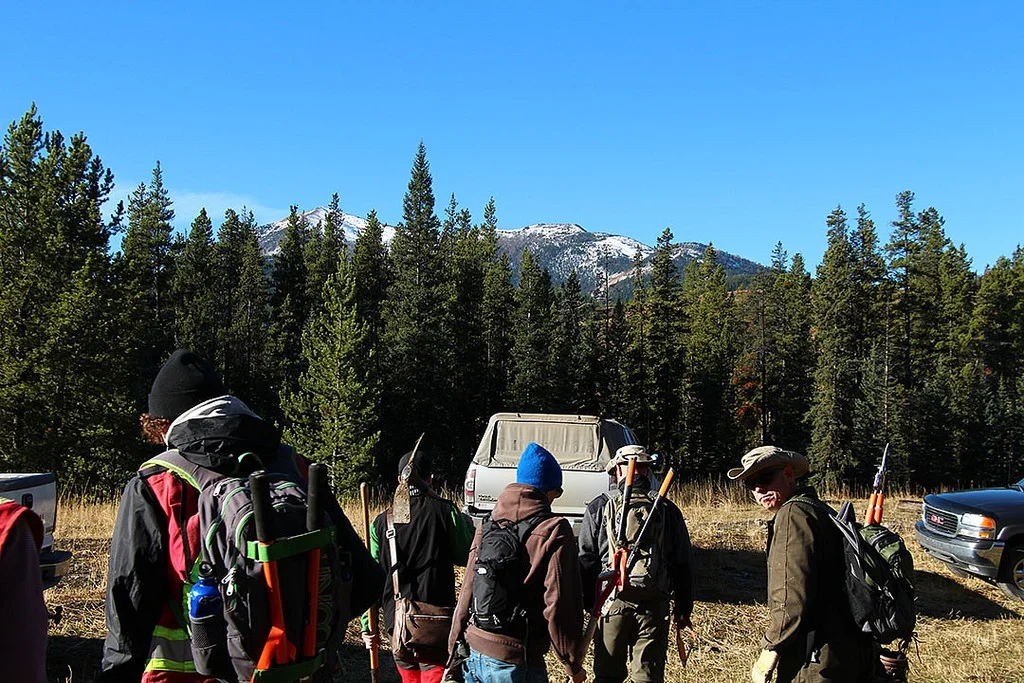 Government, Shovels ... and 5 other things you may not have heard about