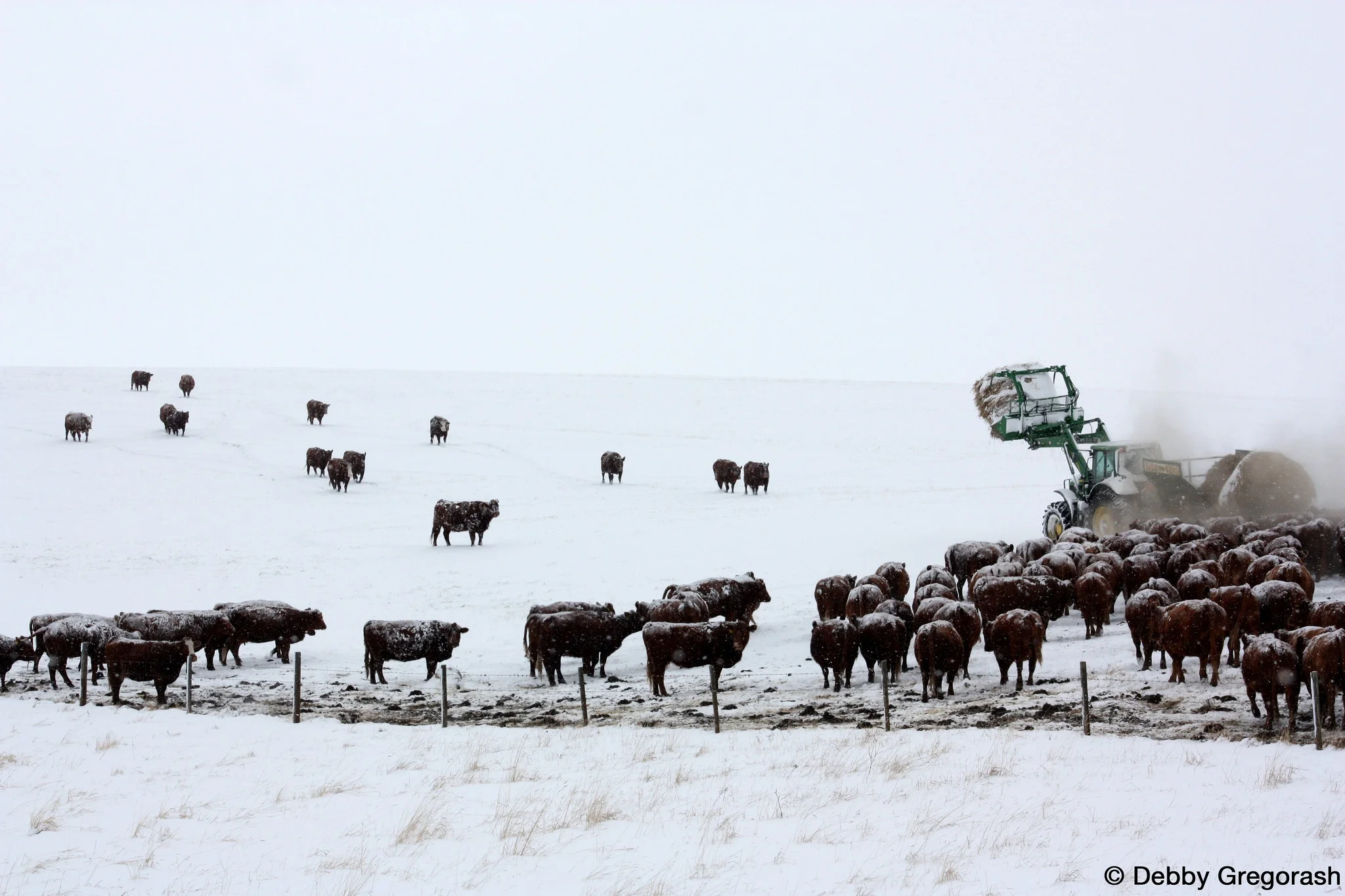 Funding available - WLP Program NOW OPEN!