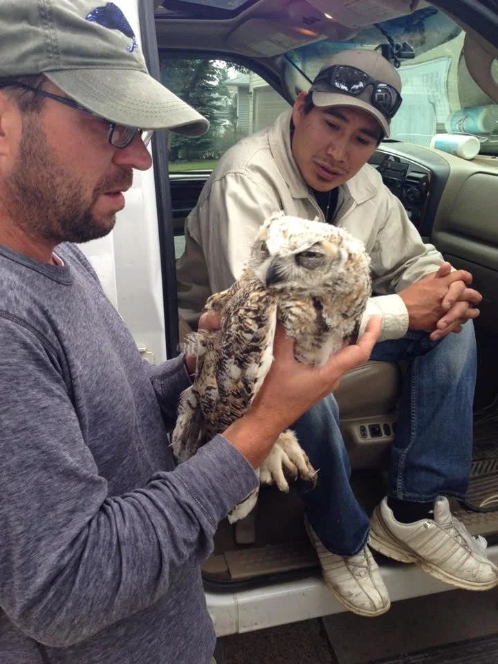 Local Ecology seen from the Blackfoot Paradigm OPEN HOUSE