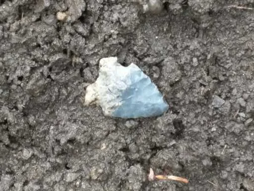 Oxbow Projectile Point