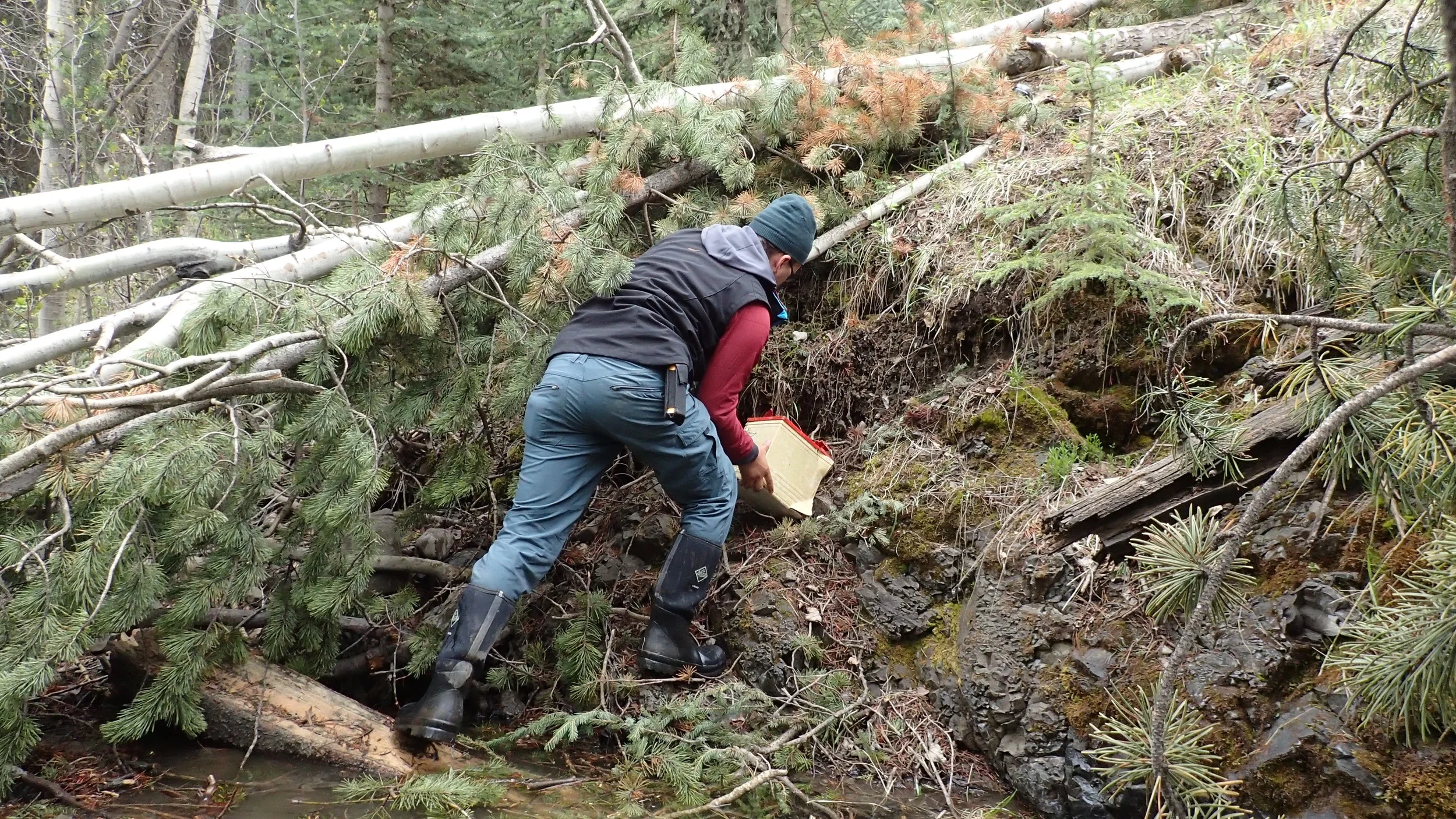 Rob shows his muscle, pulling a lead-acid battery from a small creek near the Oldman River.