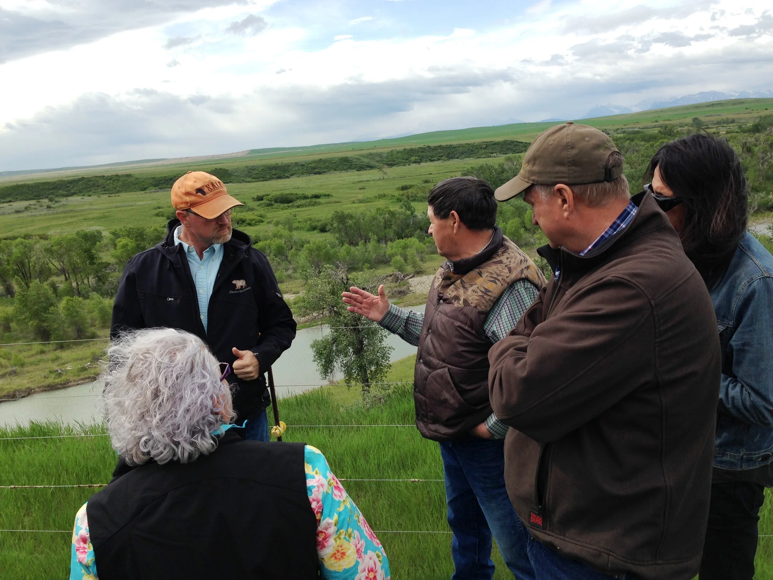 Electric fence keeps bears away from sheep, and sheep away from the river & riparian zone.