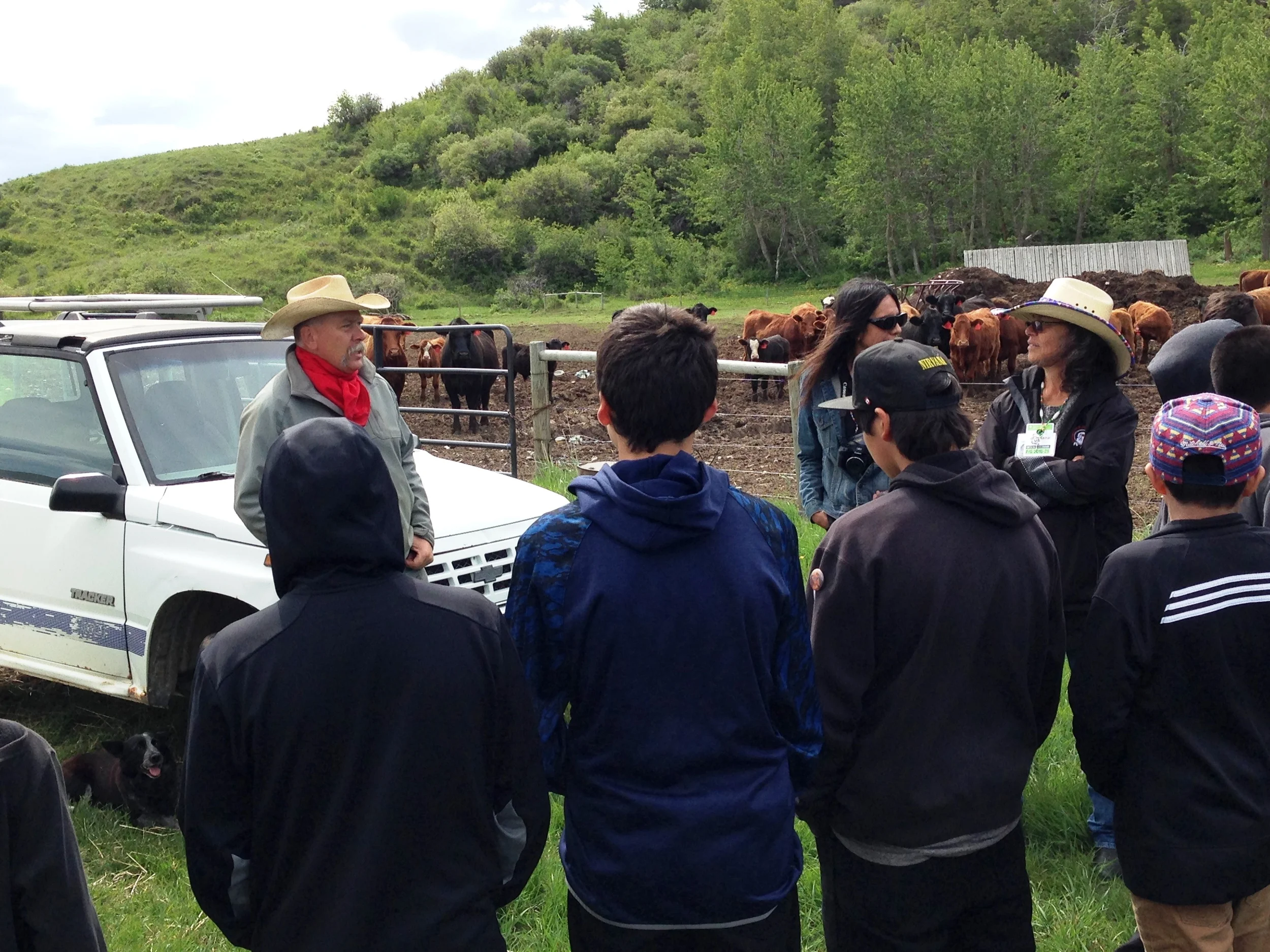 Students of Tatsikiisaapo'p Middle School learning about cattle & bears, and getting hands-on with electric fence.