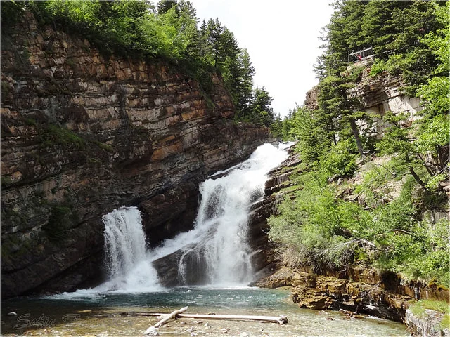 “The peace and friendship of the Peace Park is captured in the many cooperative projects carried out in our scientific community.” Jeff Mow,Glacier National Park Superintendent
