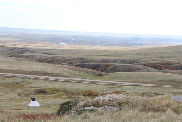 Rough fescue grasslands overlooking the Oldman River from Head-Smashed-In Buffalo Jump