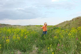 Duke Pezderic in a field of Leafy Spurge (Photo by Leta Pezderic)