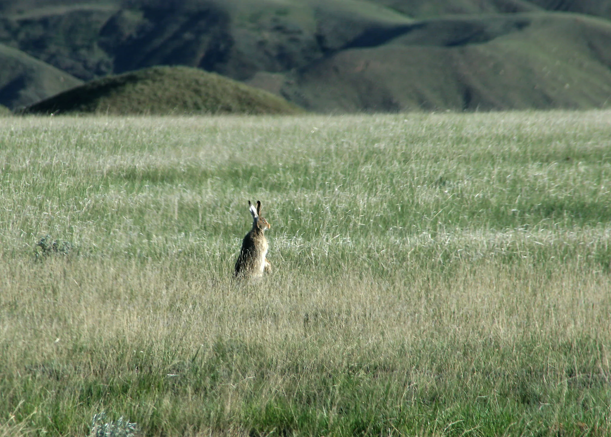 This fellow would prefer that we also don't believe everything we hear. Engaging fully with nature requires ALL of our senses.