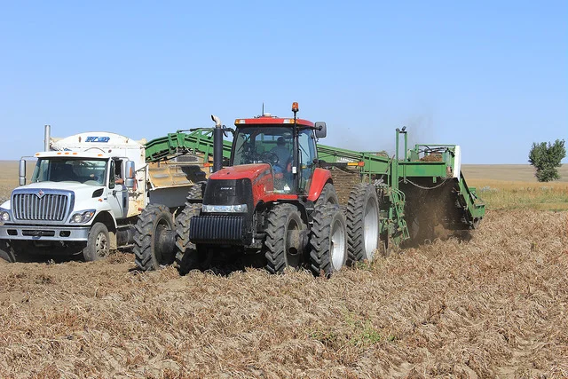 Harvesting potatoes at Mike Wind's Windiana Farms