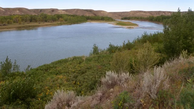 The Oldman River valley supports 10 of the largest and wildest parks in Lethbridge