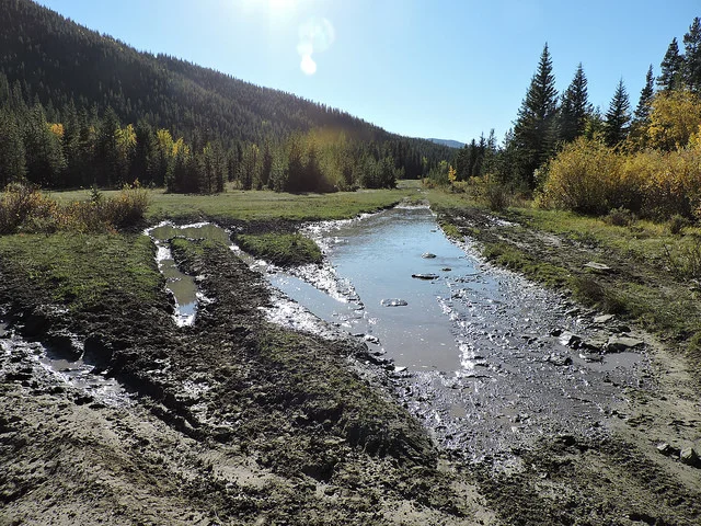 Dutch Creekwatershed has many pressures, including forestry, off highway vehicle use, random camping, and oil and gas activity. Photo by Connie Simmons.