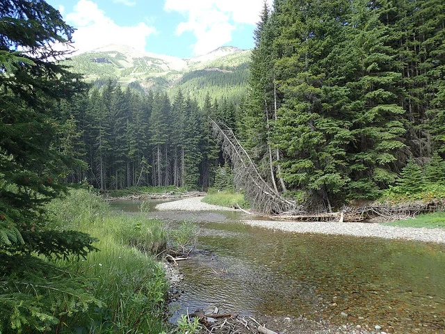 Castle River 