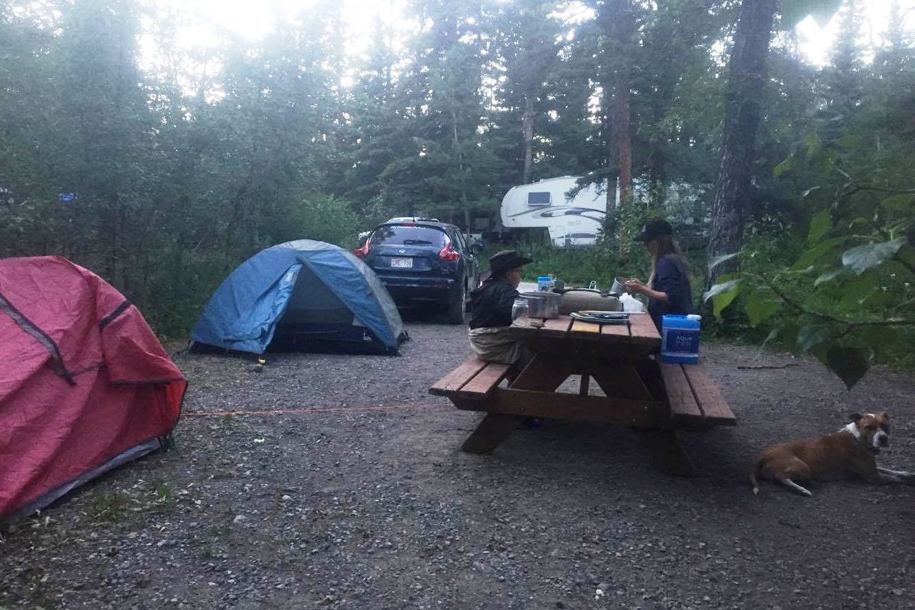 Camping is one way people connect with nature in our parks.