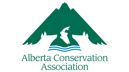 LOGO aca.png