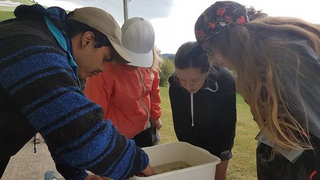  Francisco teaching kids about aquatic invertebrates at Parks Day ( More photos here )