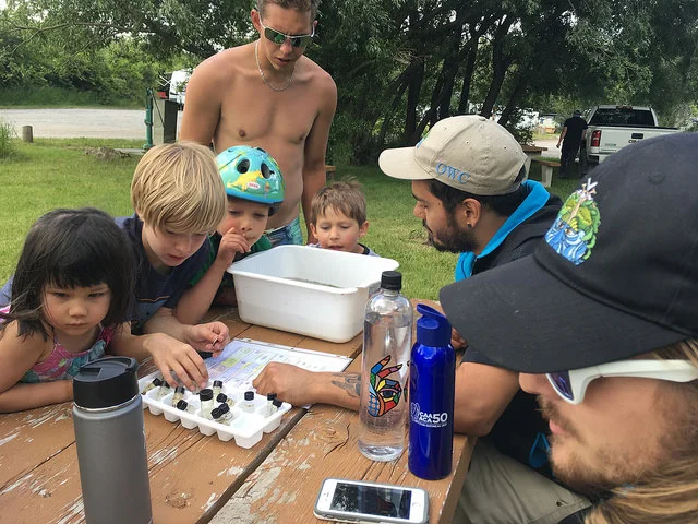 Get up close & personal with live aquatic invertebrates at OWC's Point Duties on Saturday afternoons. 