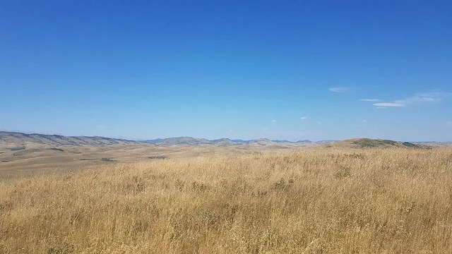  It’s dry out there! Photo from our weed pull at the end of July along highway 22.