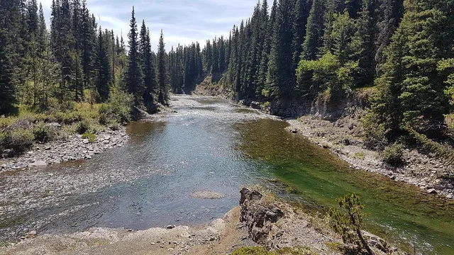  Low water levels at the confluence of the Livingstone and the Oldman. Poor fish!