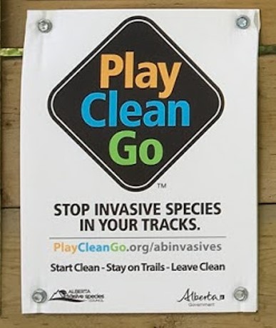 07 playcleango.jpg