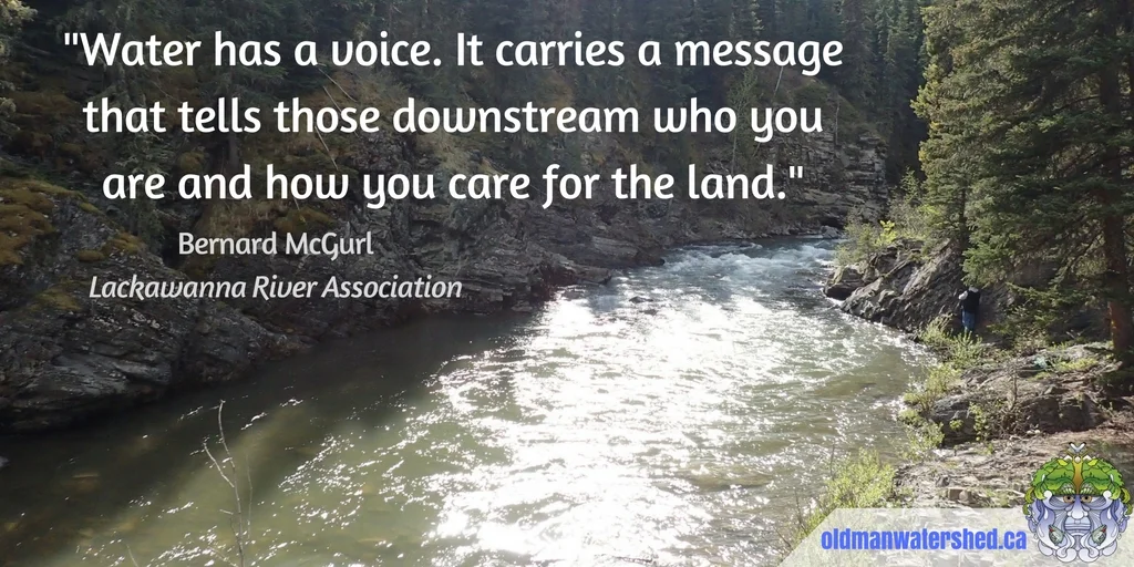Water has a voice.jpg