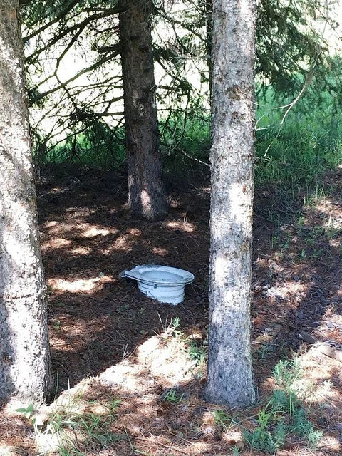 We said it all before in a previous blog post , but human waste is not for the woods - and especially not near the source of our river! Fortunately, there have also been some new port-a-potties installed at staging areas that will help keep our water clean and kaka-free.
