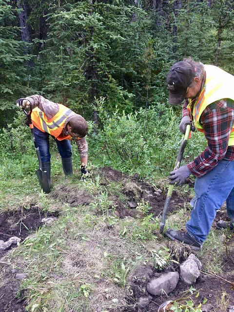 Planting seedlings along Hidden Creek. July 26, 2018.