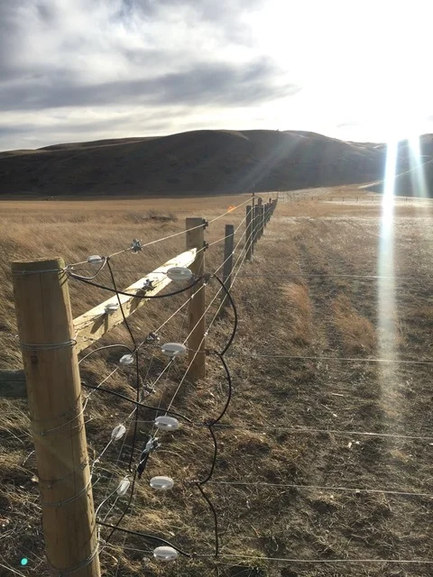 Sweetgrass Bison Riparian Fencing 2017-2018