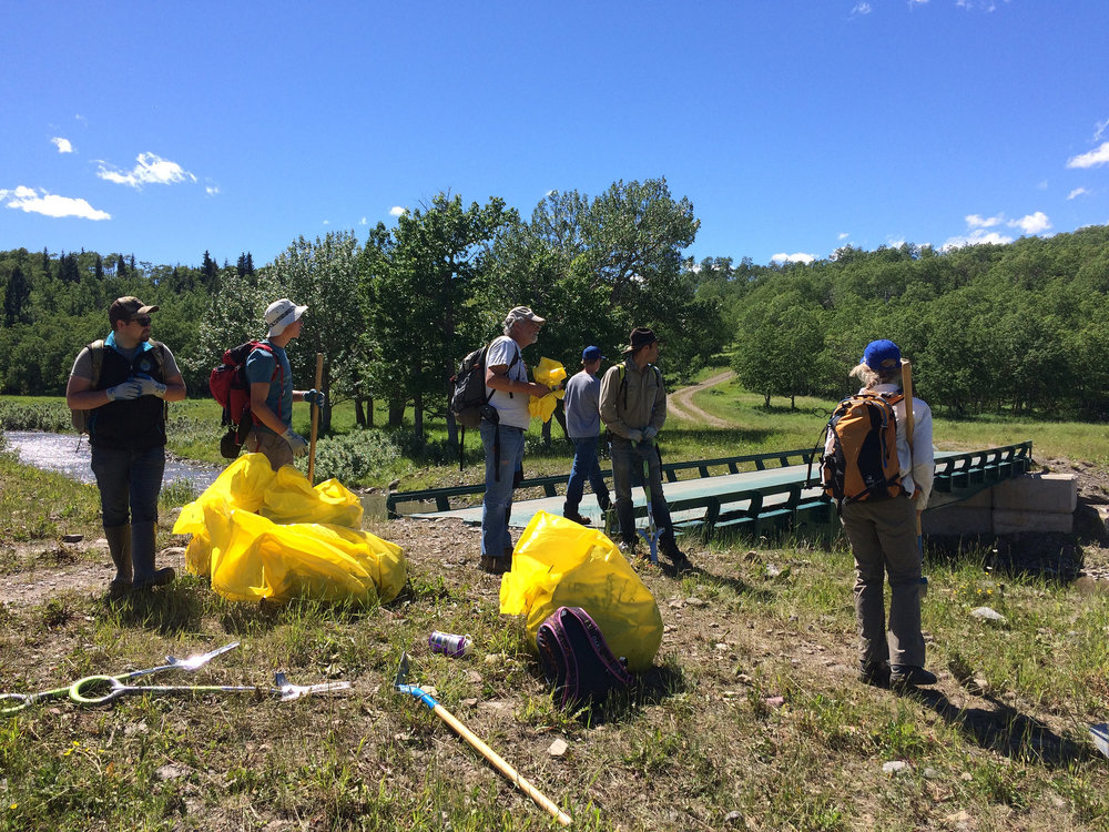 Pincher Creek Watershed Group 2018 Blueweed Blitz (2).jpg