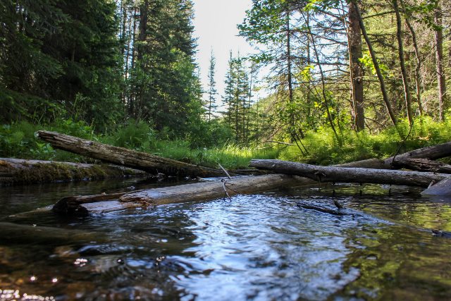 Chinook Lake.jpg