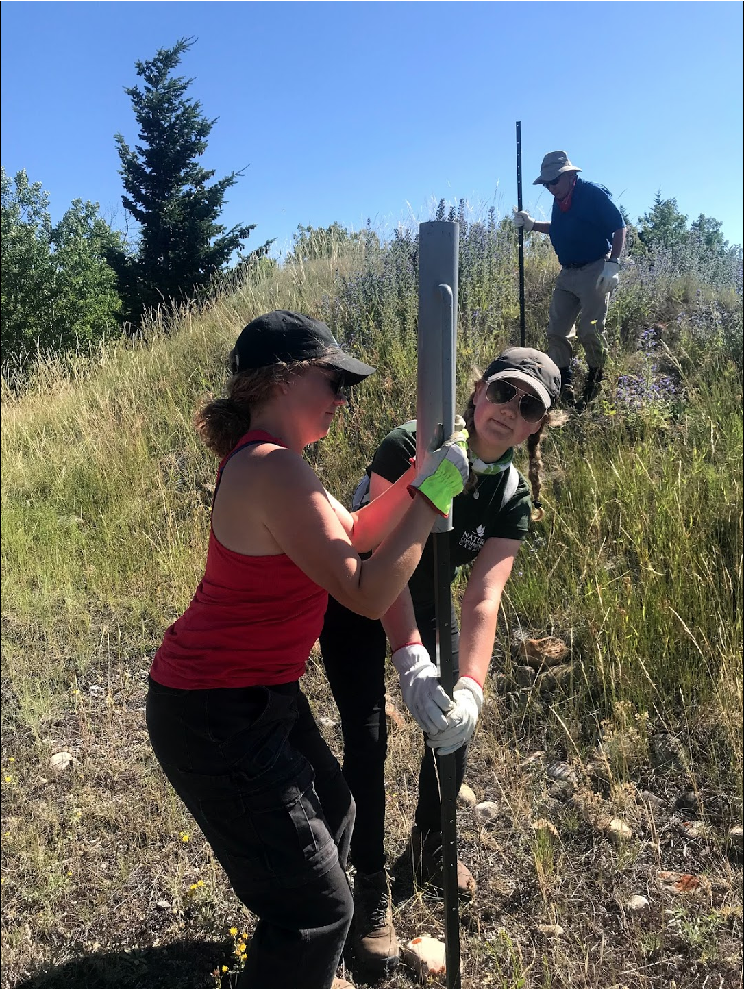Sydney using a post pounder. Work isn’t always easy!