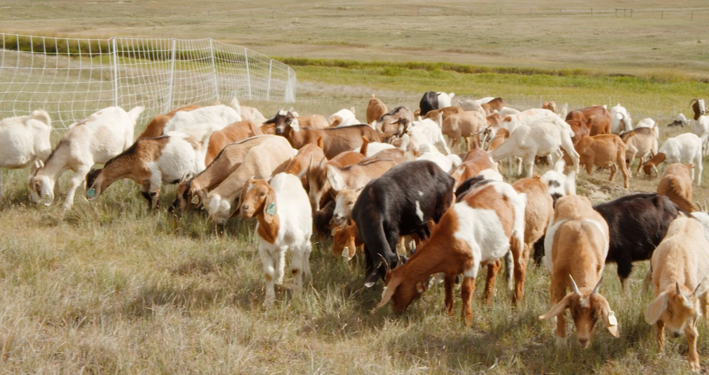 Annual Tour Showcases Sustainable Agriculture in Lethbridge County