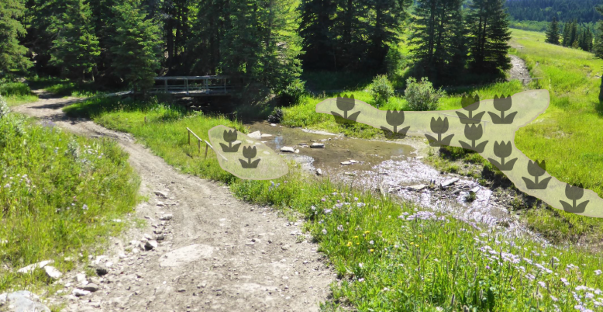 Headwaters Restoration (Part 1/3): Behind-the-Scenes