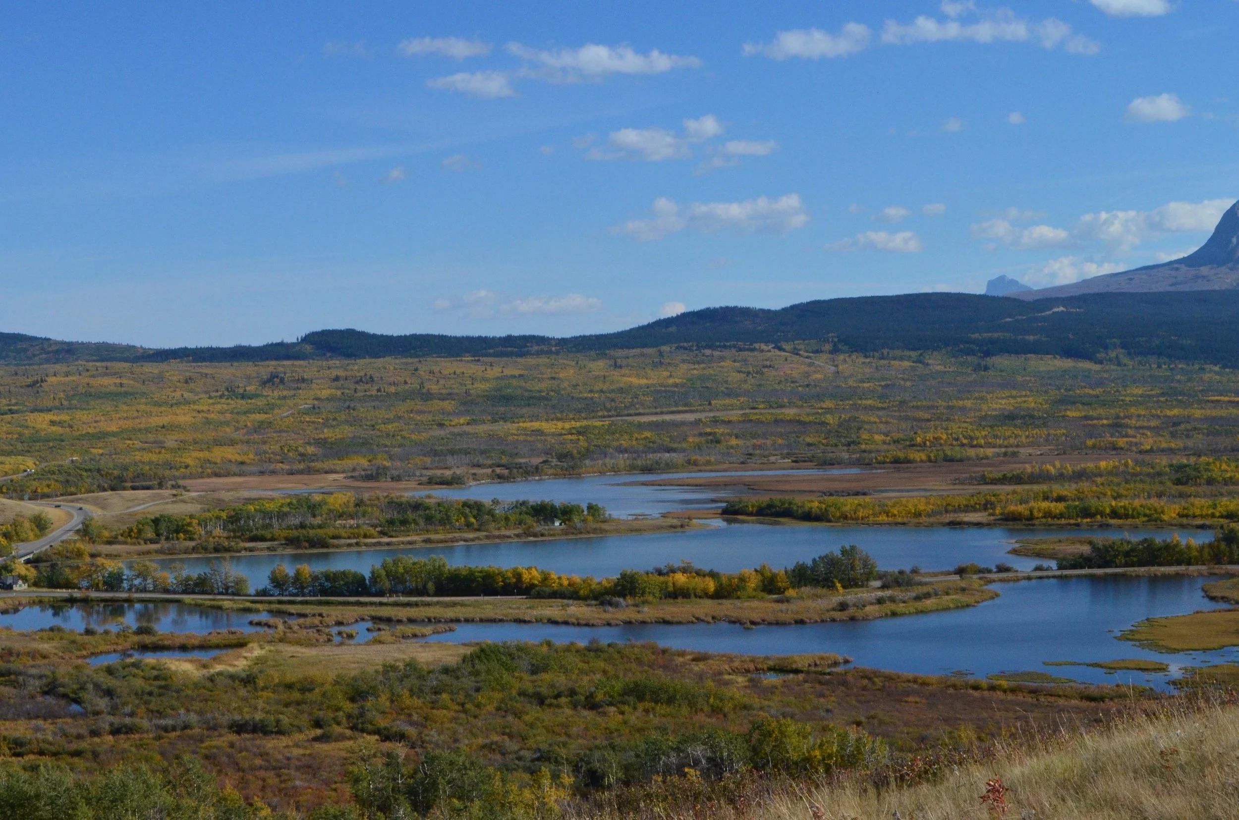 Natural Infrastructure: Money in the (Stream) Bank