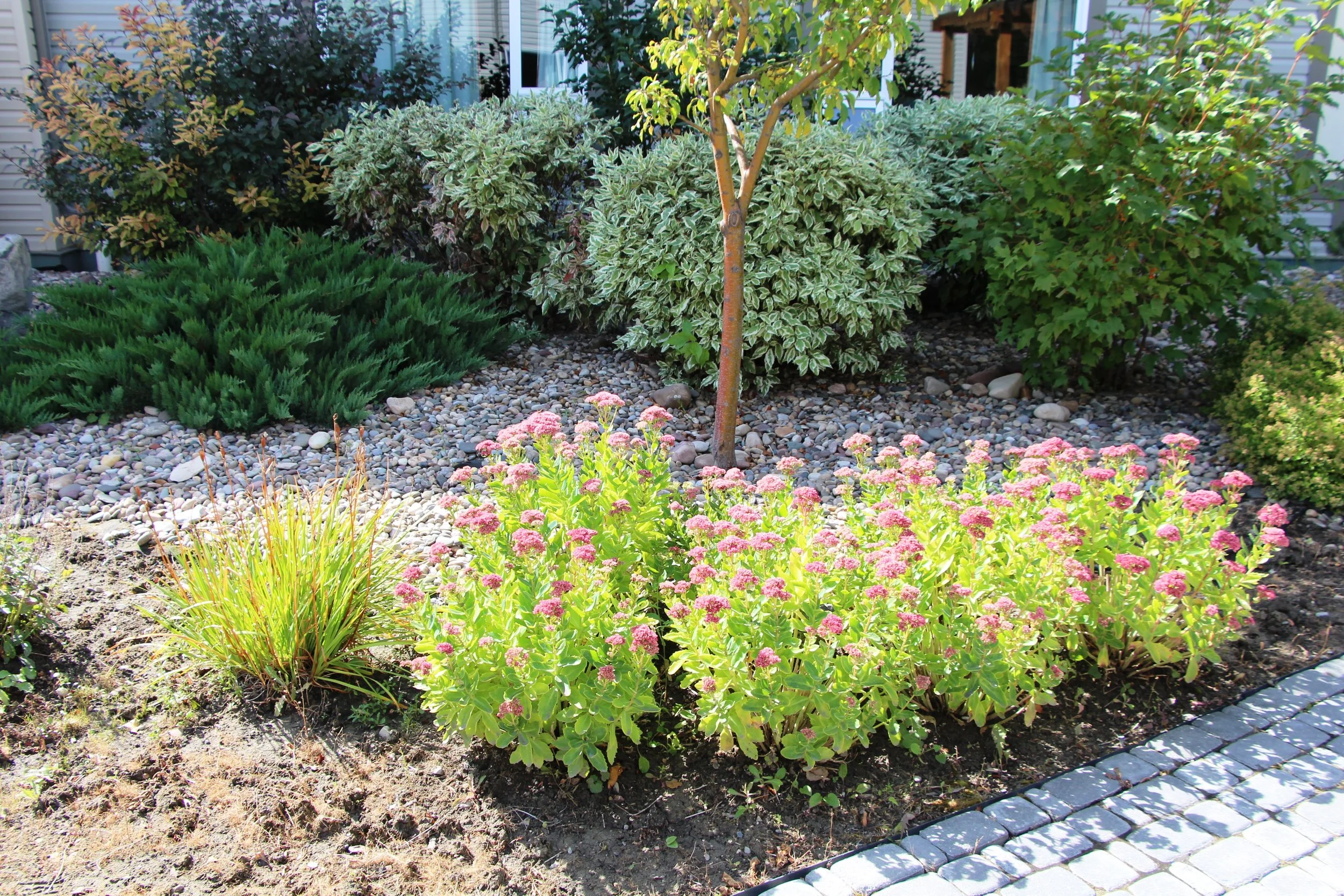 Prairie Urban Garden