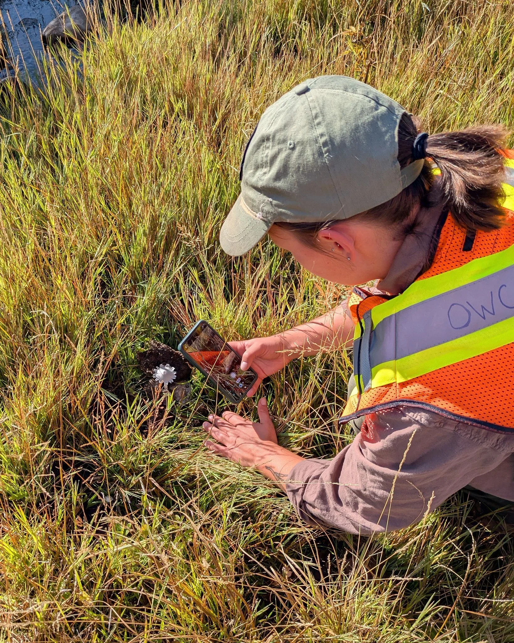 CABIN sampling prairie streams