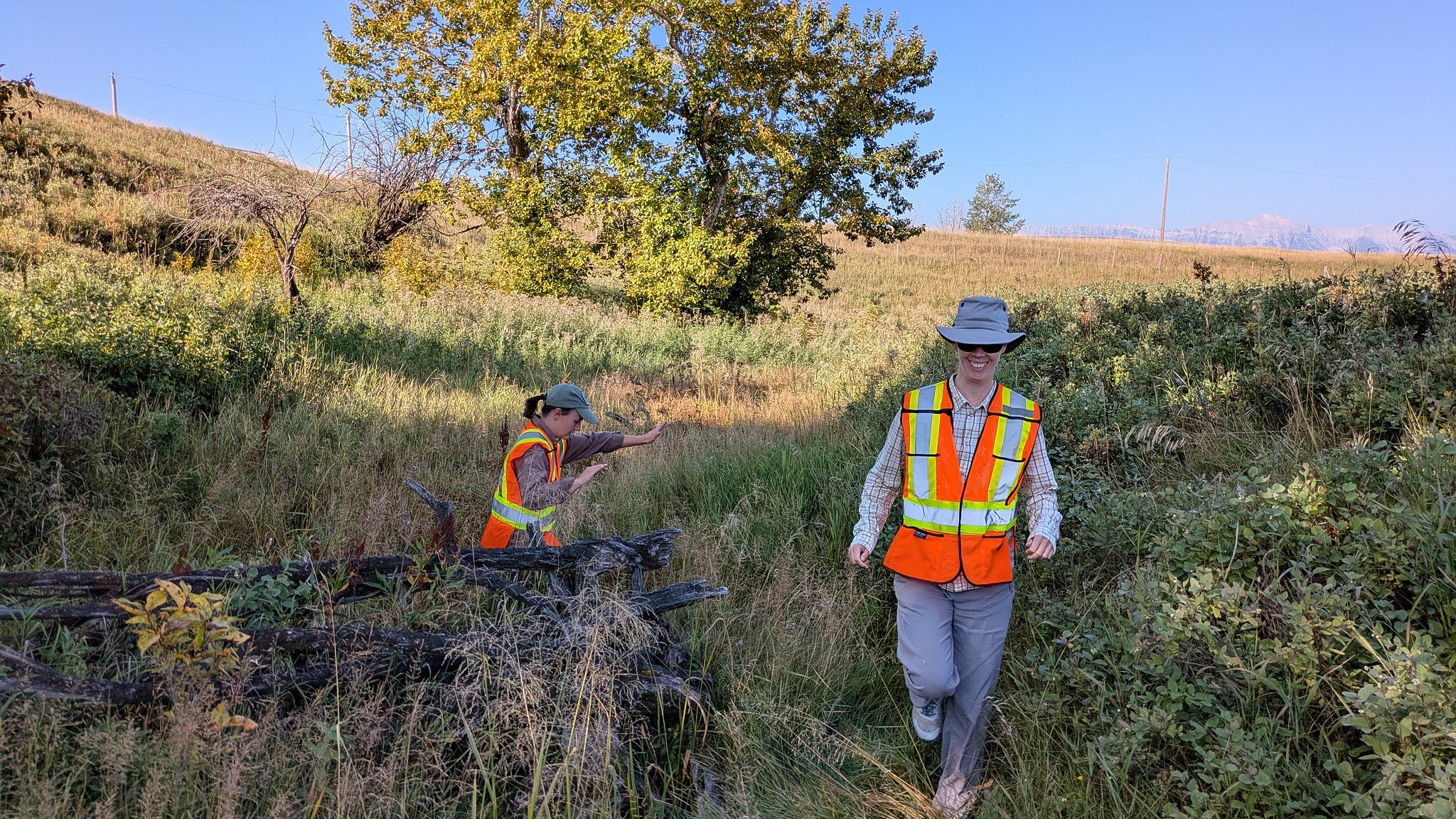 CABIN sampling prairie streams