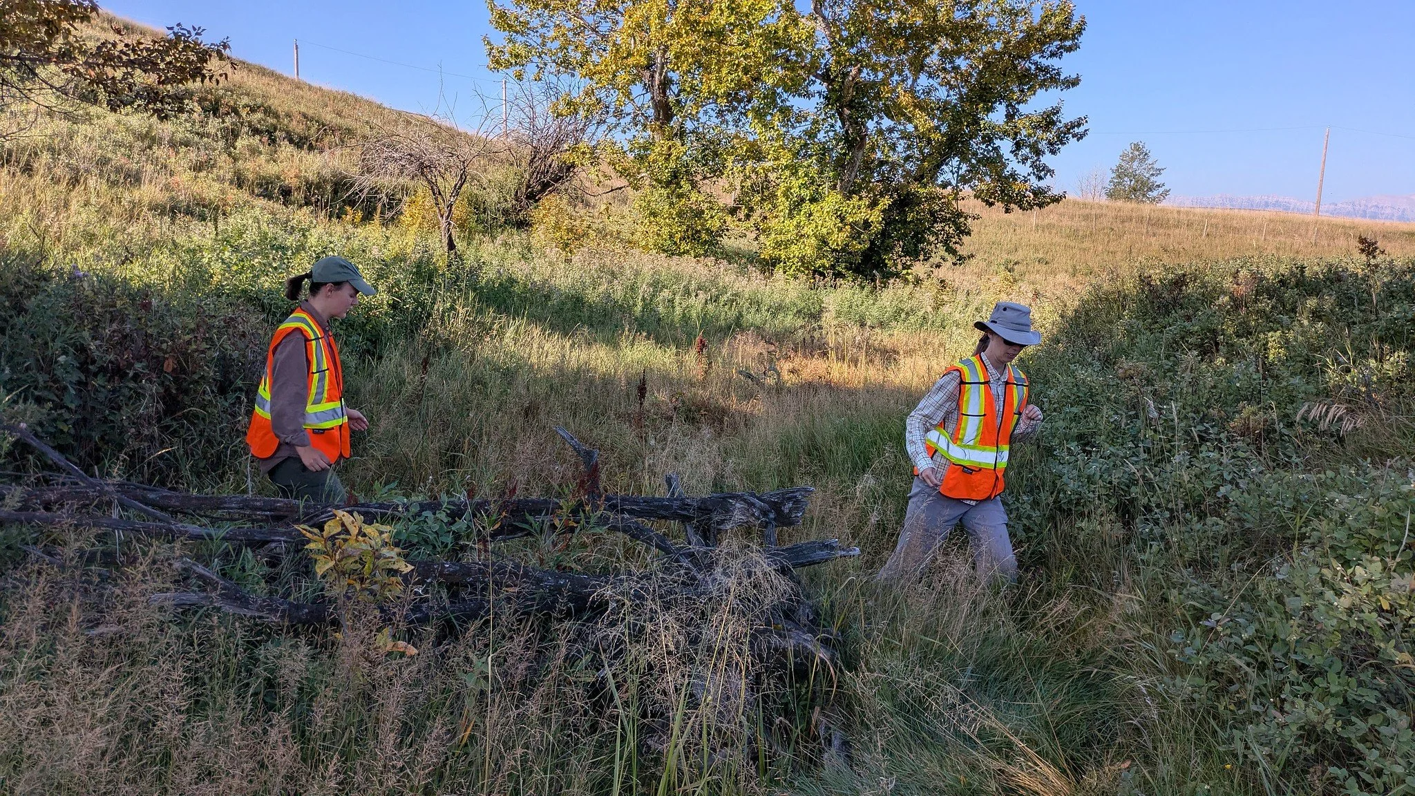 CABIN sampling prairie streams