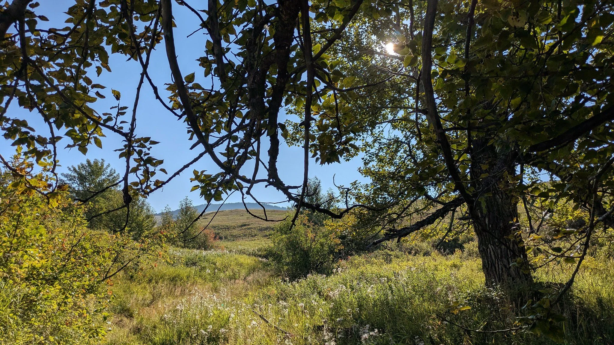 CABIN sampling prairie streams
