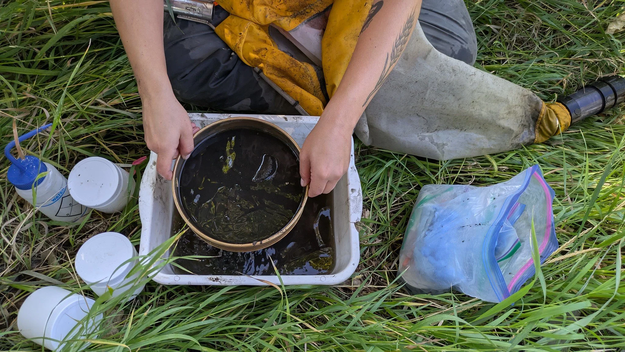 CABIN sampling prairie streams