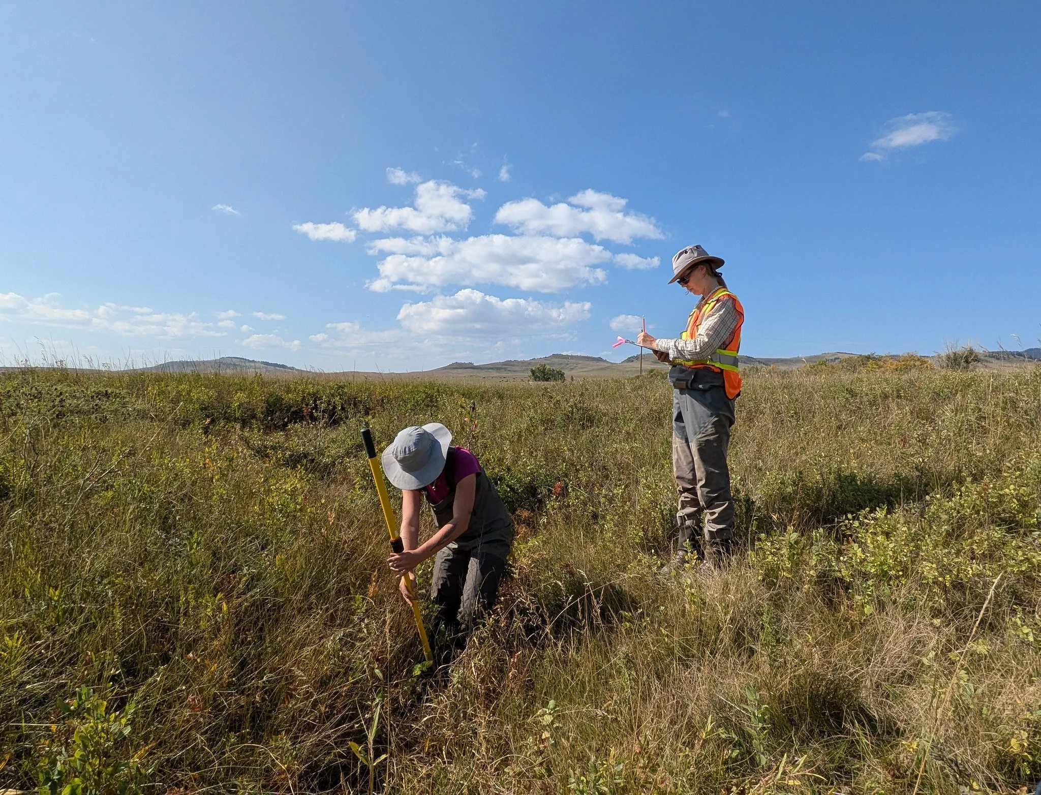 CABIN sampling prairie streams