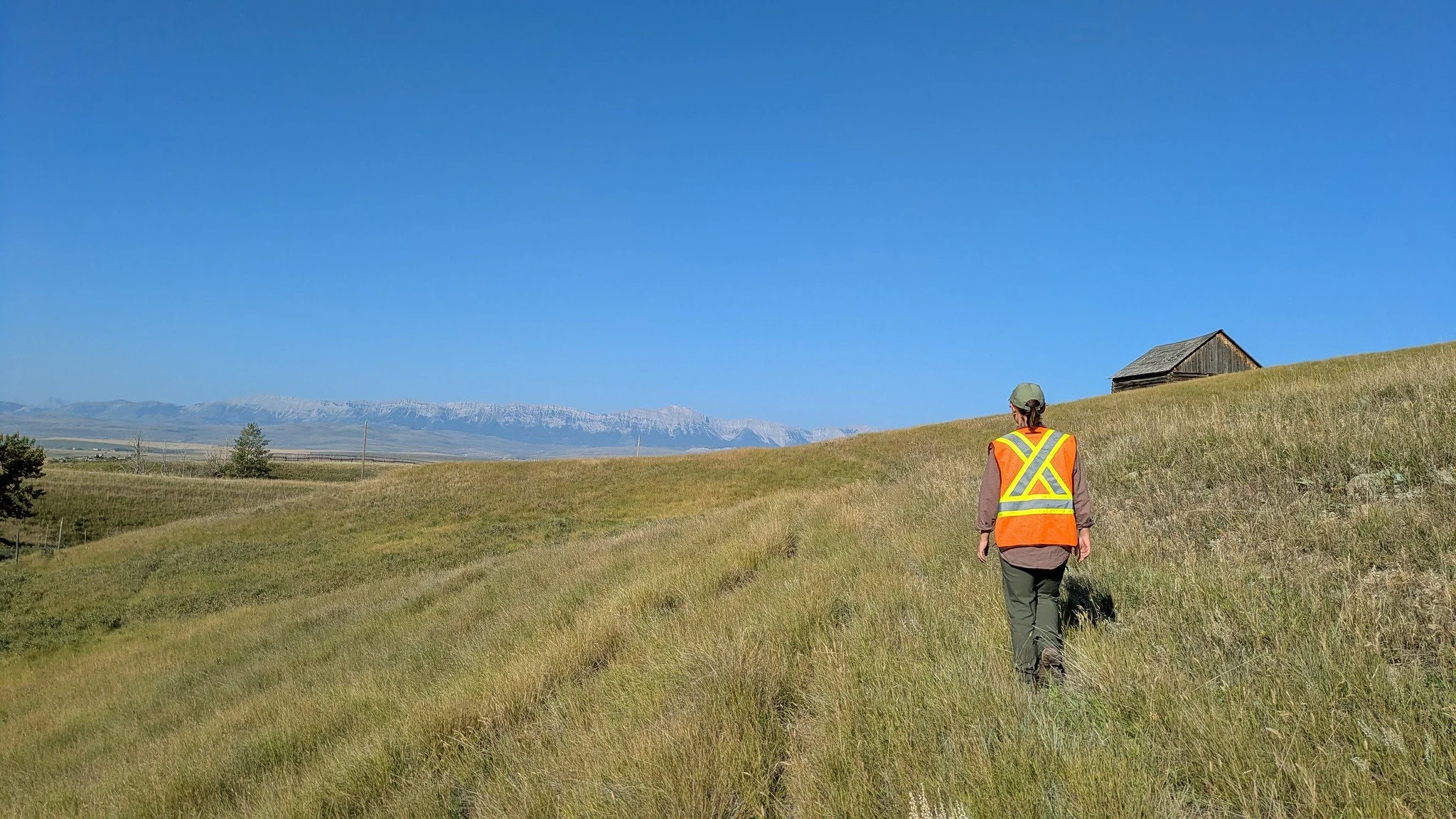 CABIN sampling prairie streams