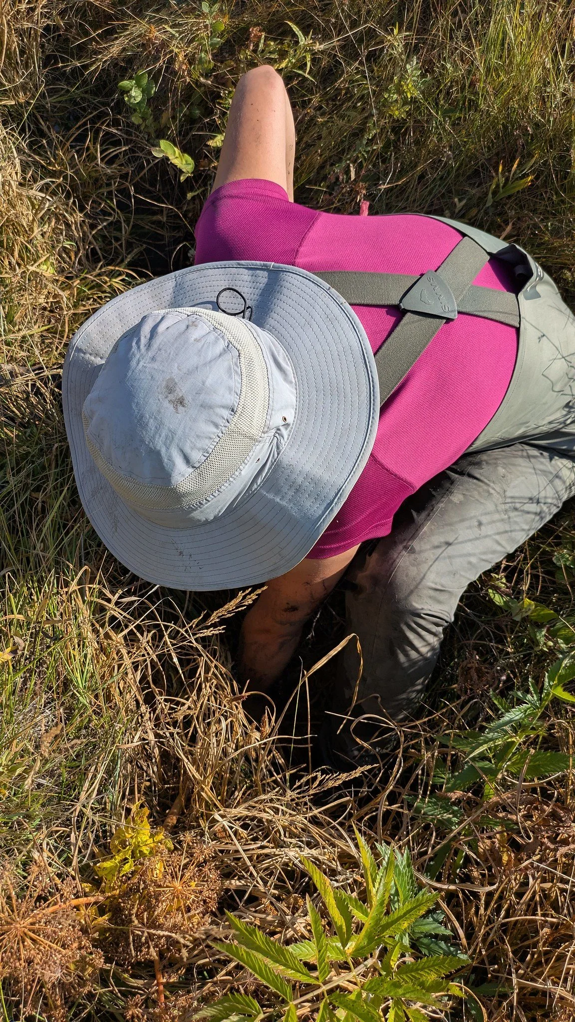 CABIN sampling prairie streams