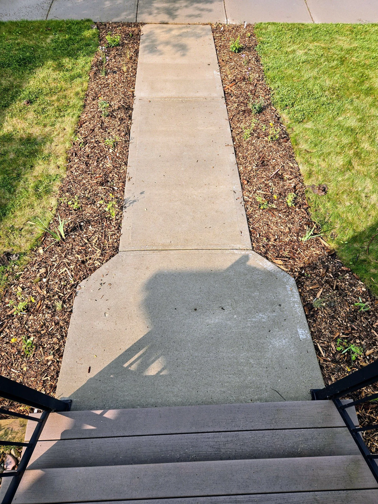 toupey planting june 25