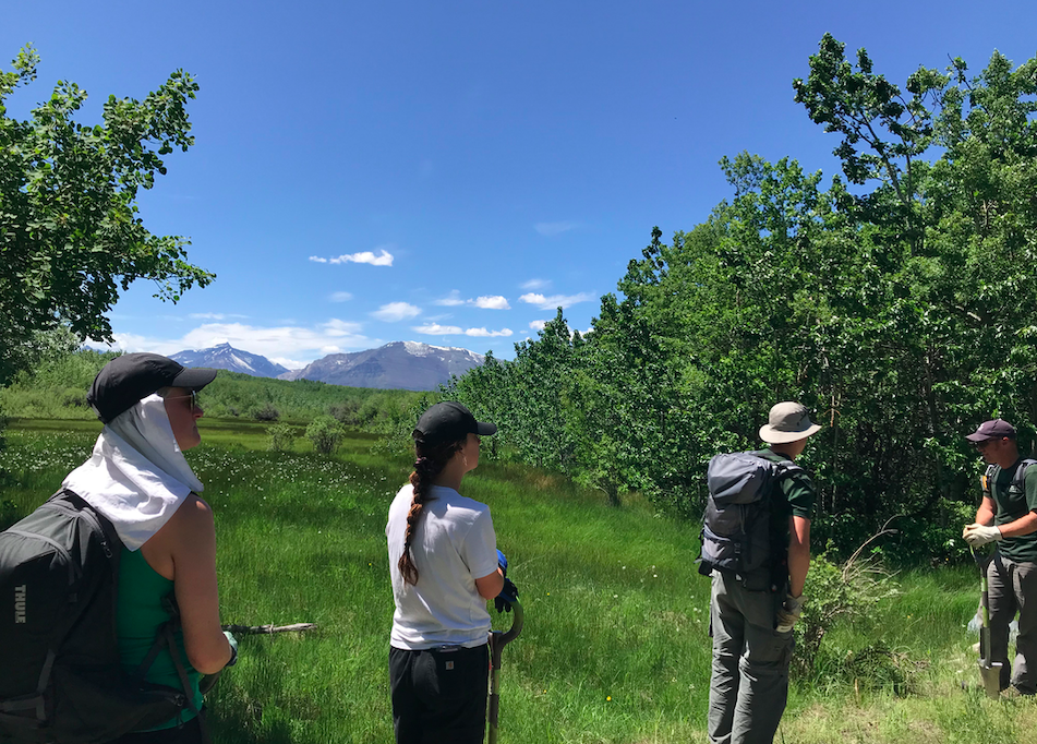 Restoration Work Delivers Significant Economic Benefits