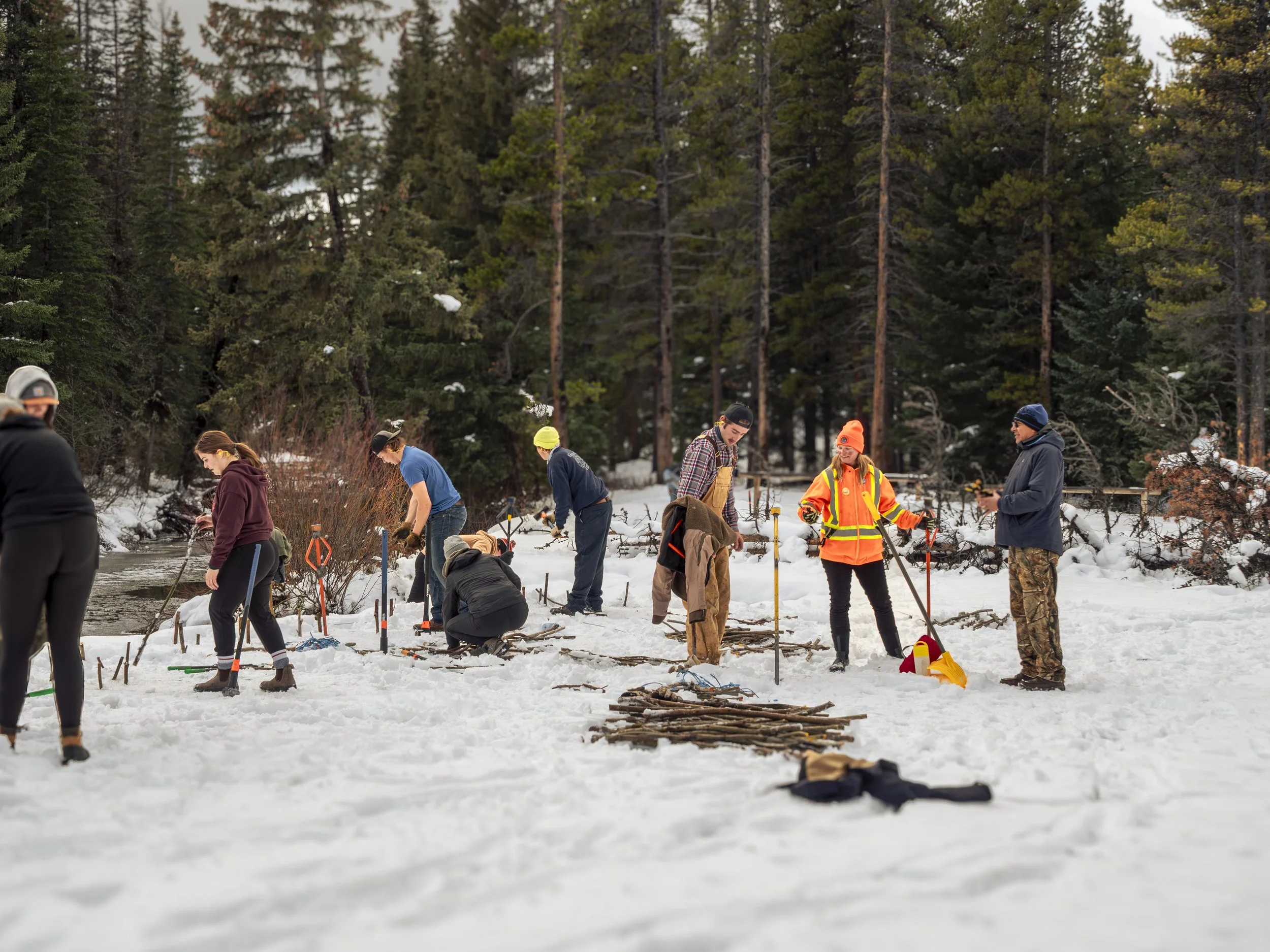 Snow resto 1_JM _proc-1.JPG