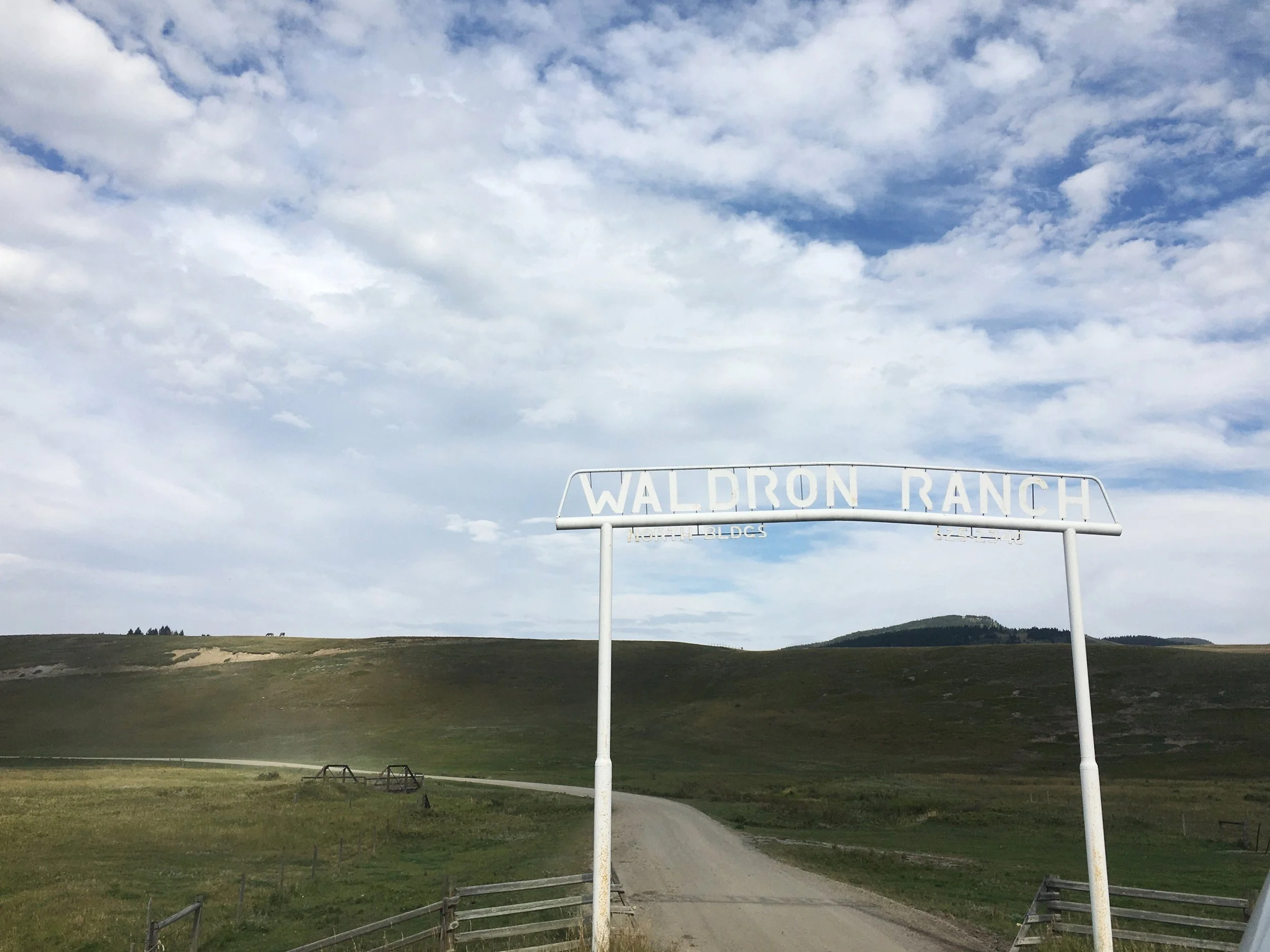 Agricultural Innovators: Grazing Co-operatives with Christy Goldhawk