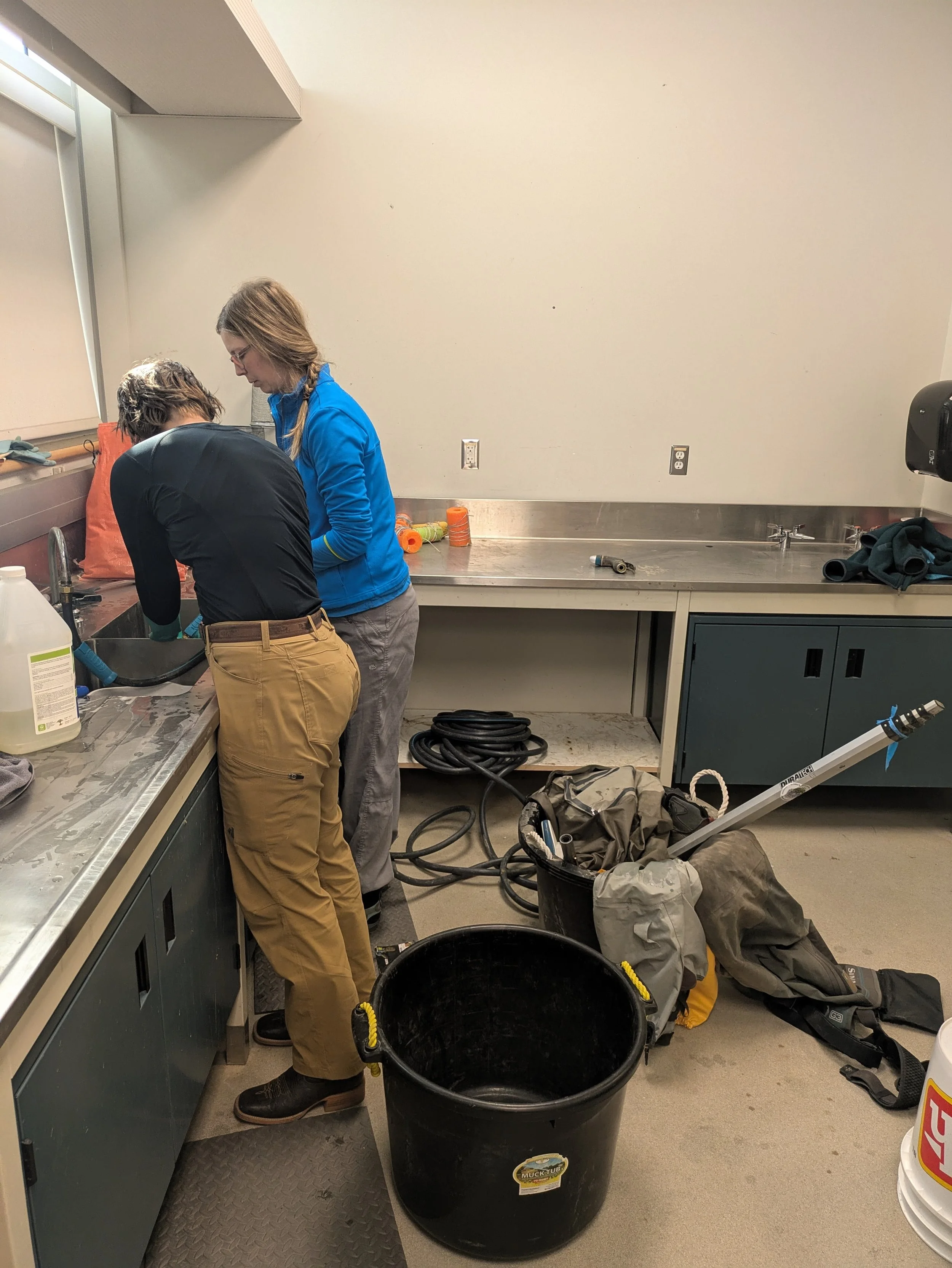  September 2024. This is the less glamorous side of CABIN sampling: decontamination. Most of our sites are suspected or confirmed whirling disease zones, and so, after our gear gets wet or muddy, we need to clean it and then soak it in a disinfectant