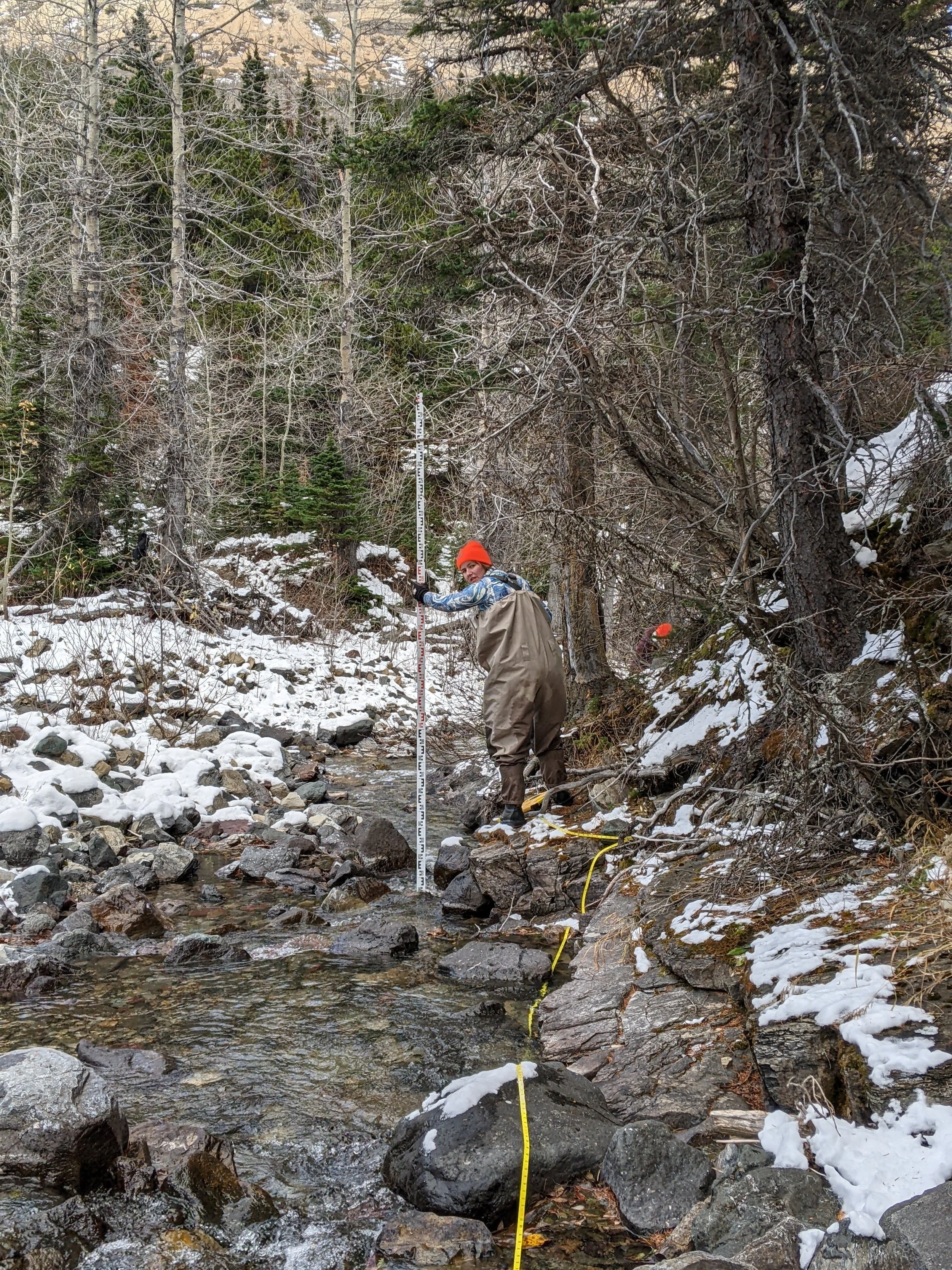  October 2024. This was our most rugged CABIN site. Yarrow Creek, way up in the Castle Wildland park, almost at the Waterton park boundary. Here I am measuring the steepest slope we ever recorded at a CABIN site (I can’t even reach the height measure