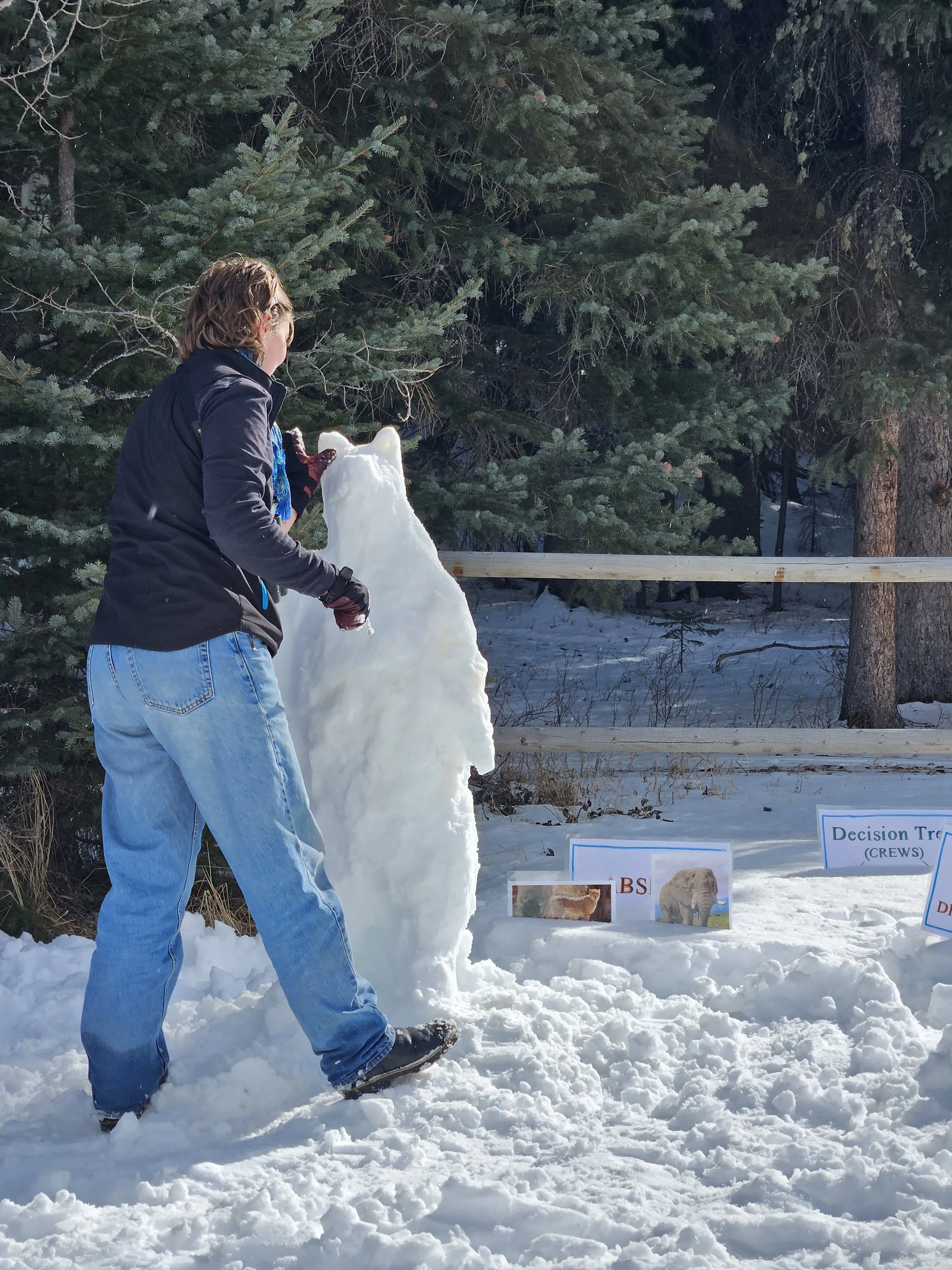  February 2025. Syncline-Castle Trails Association put on a family event, and the snow was PERFECT snowman texture. I think I named this bear Bearimy. (I promise that we did also set up a tent and do some outreach). We’re in the Castle park here, at 