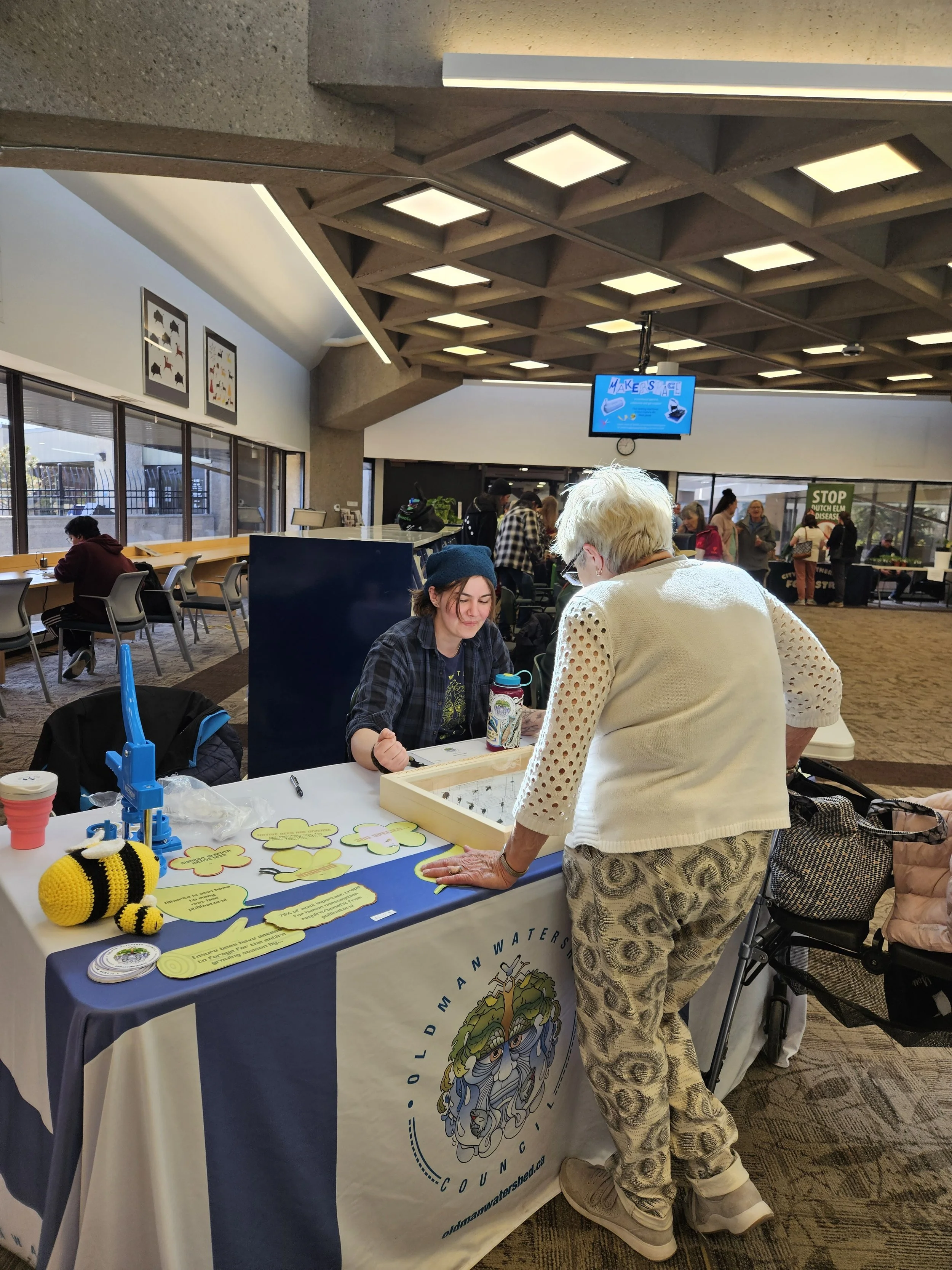  April 2025. Seedy Saturday at the Lethbridge Public Library. This is the beginning of my pollinator-related content. Over the winter, I’d assembled a pollinator display box, and here I am nerding out about bumble bees. My educational background in b