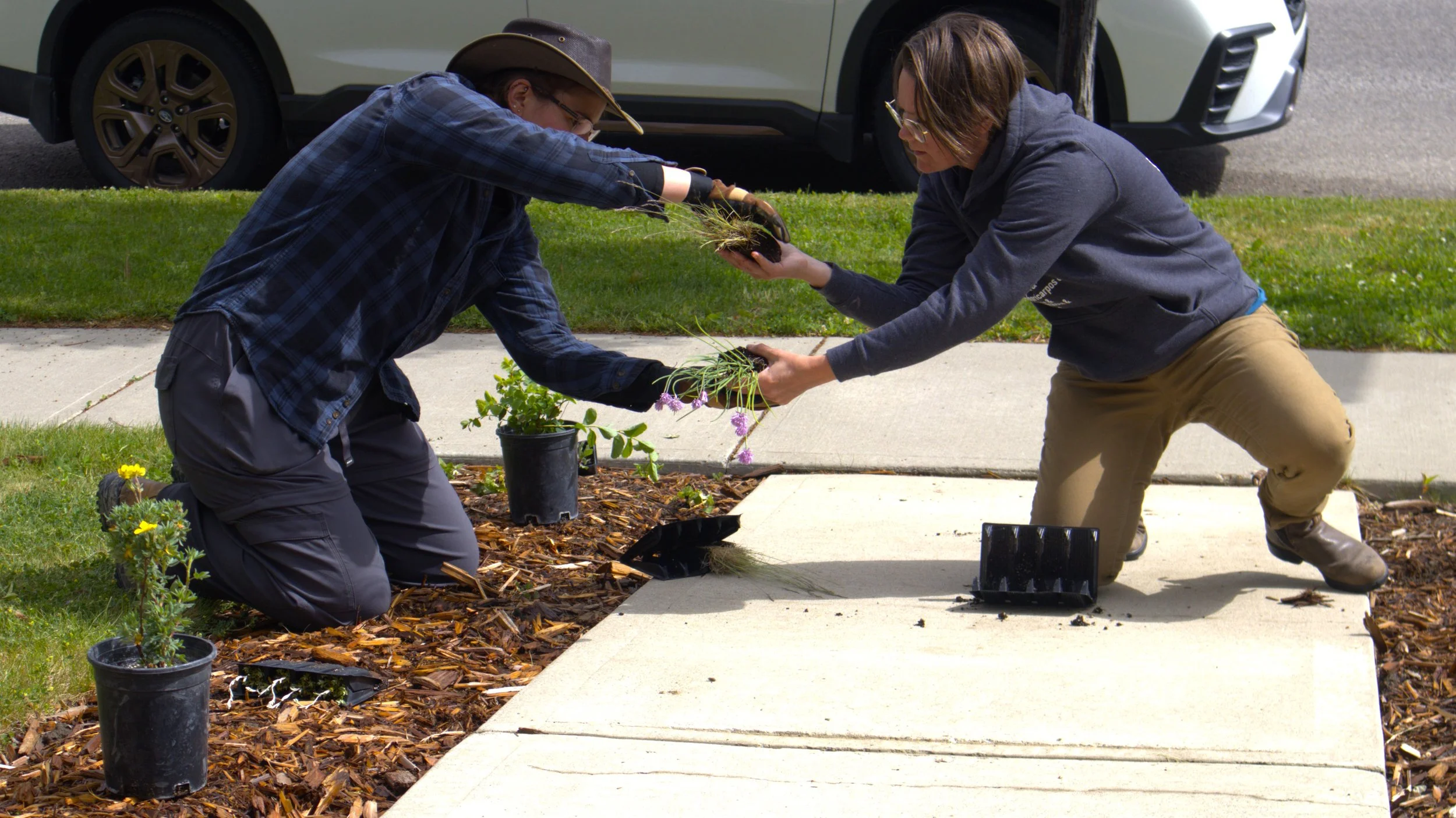  May 2025, planting a pollinator garden in Lethbridge. Deb meticulously planned out which plants would go where. Shoutout to Kallie for taking this picture—one of the cutest candids ever! 